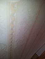 fkillineybeforeinternal 1165.jpg